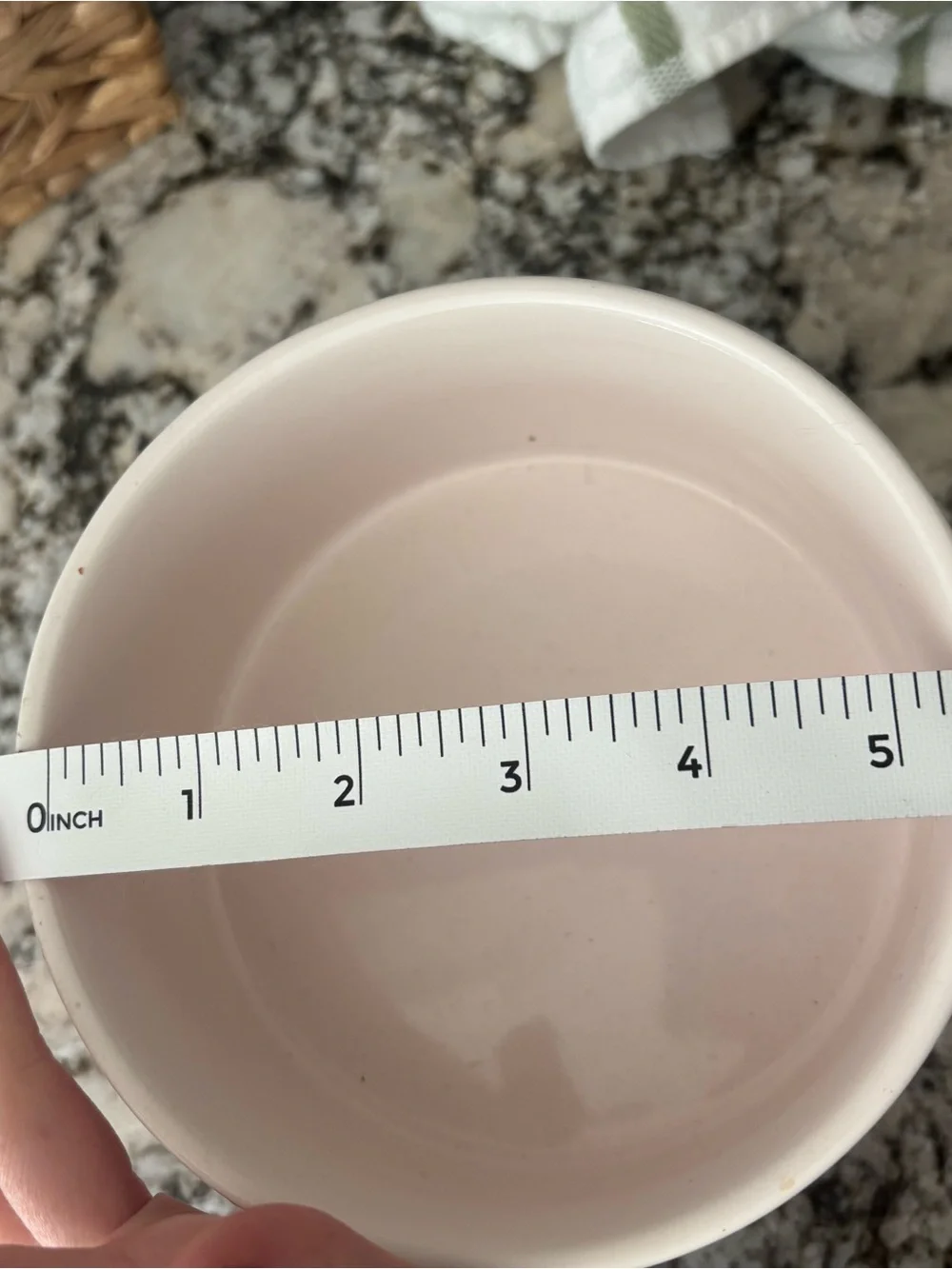 Rae Dunn Dog Bowls